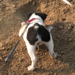 Meet your Posher, Stacy